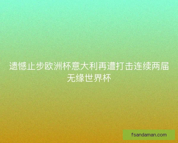 遗憾止步欧洲杯意大利再遭打击连续两届无缘世界杯